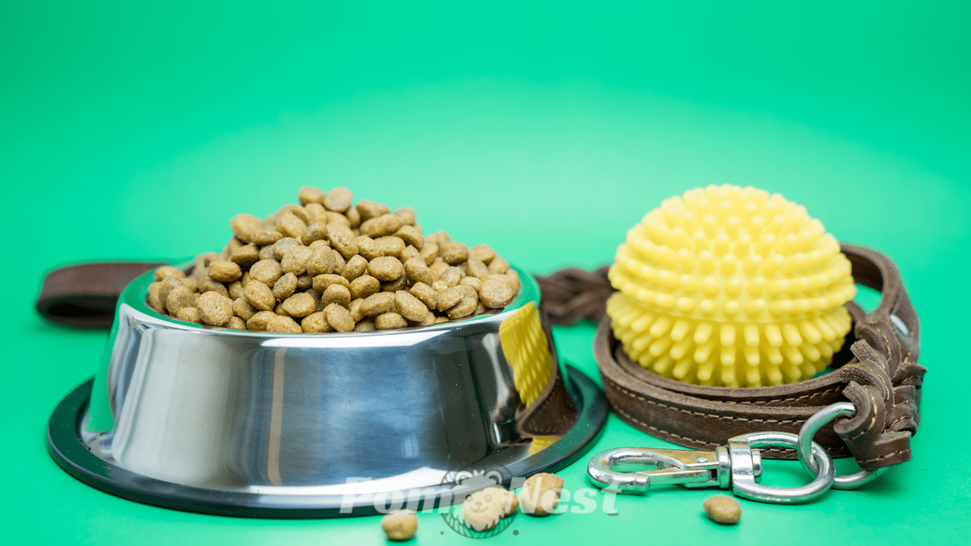 pomeranian puppy supplies