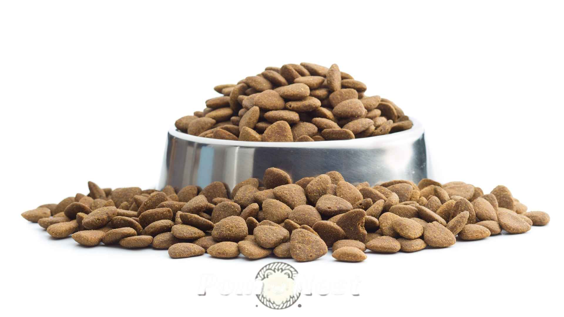 Best dog food for pomeranian chihuahua.