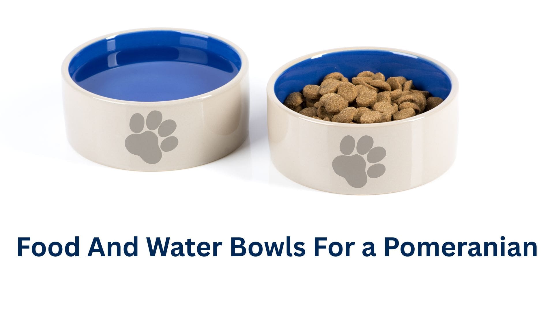 Best food and water bowls for a pomeranian dog.